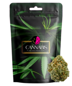 Fryd Strawberry Cough Bud Strain